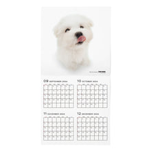 Read the image into the gallery view, THE DOG 2025 Calendar Large format size (Maltese)
