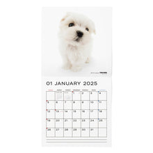 Read the image into the gallery view, THE DOG 2025 Calendar Large format size (Maltese)
