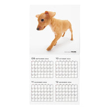 Lea la imagen en la vista de la galería, El calendario del perro 2025 tamaño de gran formato (Pinscher en miniatura)
