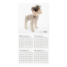 Lea la imagen en la vista de la galería, El calendario del perro 2025 tamaño de gran formato (Schnauzer en miniatura)
