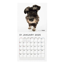 Lea la imagen en la vista de la galería, El calendario del perro 2025 tamaño de gran formato (Schnauzer en miniatura)
