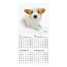 Read the image into the gallery view, THE DOG 2025 Calendar Large format size (Papillon)
