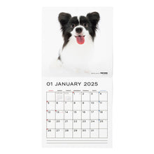 Read the image into the gallery view, THE DOG 2025 Calendar Large format size (Papillon)
