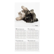 Read the image into the gallery view, THE DOG 2025 Calendar Large format size (Pekingese)
