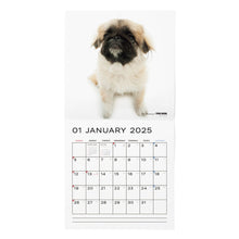 Lea la imagen en la vista de la galería, El calendario del perro 2025 tamaño de gran formato (Pekinese)
