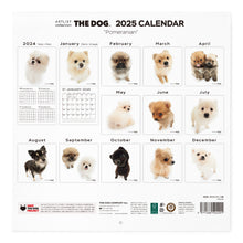 Read the image into the gallery view, THE DOG 2025 Calendar large format size (Pomeranian)
