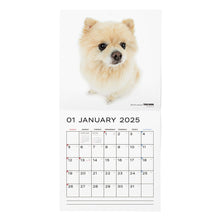 Read the image into the gallery view, THE DOG 2025 Calendar large format size (Pomeranian)
