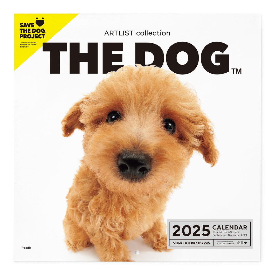 THE DOG 2025 Calendar Large format size (poodle)