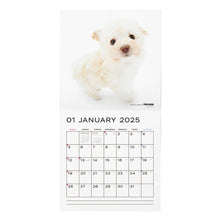 Read the image into the gallery view, THE DOG 2025 Calendar Large format size (poodle)
