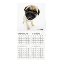 Read the image into the gallery view, THE DOG 2025 Calendar Large format size (pug)
