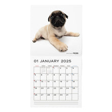 Lea la imagen en la vista de la galería, El perro 2025 calendario tamaño grande de formato (pug)
