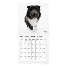 Read the image into the gallery view, THE DOG 2025 Calendar Large format size (Shetland Sheep Dog)
