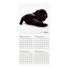 Read the image into the gallery view, THE DOG 2025 Calendar Large format (Shih Tzu)
