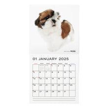 Read the image into the gallery view, THE DOG 2025 Calendar Large format (Shih Tzu)
