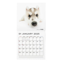 Lea la imagen en la vista de la galería, El calendario del perro 2025 tamaño de gran formato (Husky Siberian)
