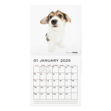 Lea la imagen en la vista de la galería, El calendario del perro 2025 tamaño de gran formato (Corgi de Welsh)
