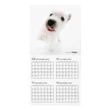 Lea la imagen en la vista de la galería, El tamaño de gran formato de calendario 2025 (West Highland White Terrier)
