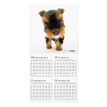 Read the image into the gallery view, THE DOG 2025 Calendar Large format size (Yorkshire Terrier)
