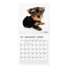 Read the image into the gallery view, THE DOG 2025 Calendar Large format size (Yorkshire Terrier)
