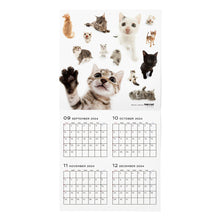 Read the image into the gallery view, THE CAT 2025 Calendar large format size (all -star)
