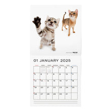 Read the image into the gallery view, THE CAT 2025 Calendar large format size (all -star)
