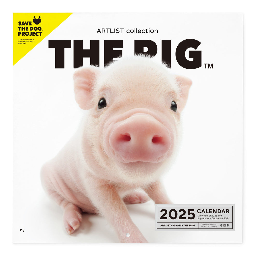 THE PIG 2025 Calendar Large format size