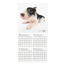 Read the image into the gallery view, THE PIG 2025 Calendar Large format size
