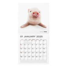 Read the image into the gallery view, THE PIG 2025 Calendar Large format size
