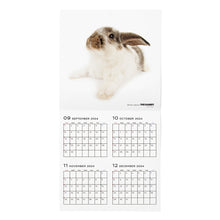 Read the image into the gallery view, The Rabbit 2025 Calendar large format size
