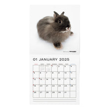 Read the image into the gallery view, The Rabbit 2025 Calendar large format size
