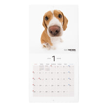 Read the image into the gallery view, The Dog 2025 Calendar Mini Size (Beagle)
