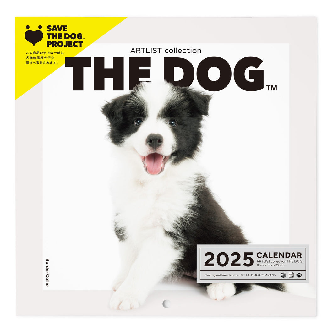 El perro calendario del perro 2025 (Border Collie)