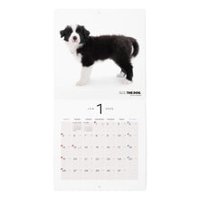 갤러리보기에 이미지를 읽고 개 2025 캘린더 미니 크기 (Border Collie)
