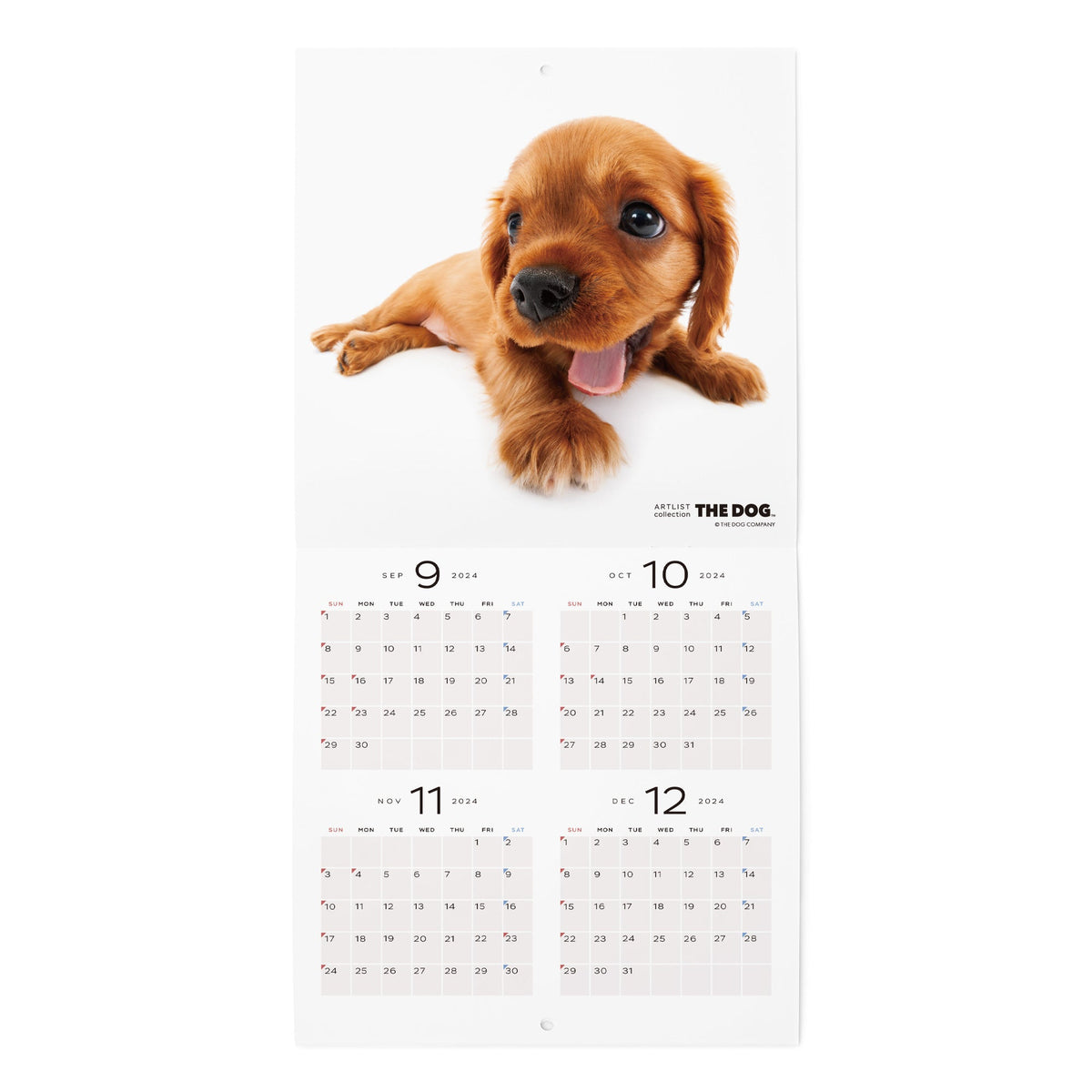 2025 (Towa 7 years) Wall mounted calendar (mini)Cavalier King Charles 2025 (Towa 7 years) Wall mounted calendar (mini)Cavalier King Charles