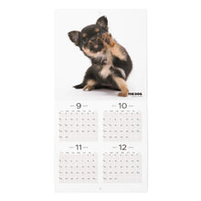 Read the image into the gallery view, THE DOG 2025 Calendar mini size (Chihuahua)
