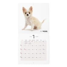 Read the image into the gallery view, THE DOG 2025 Calendar mini size (Chihuahua)
