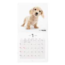 Lea la imagen en la vista de la galería, El mini tamaño de calendario del perro 2025 (Dachshund)
