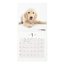 Read the image into the gallery view, The Dog 2025 Calendar Mini Size (Golden Retriever)
