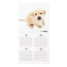 Read the image into the gallery view, THE DOG 2025 Calendar Mini Size (Labrador Retriever)
