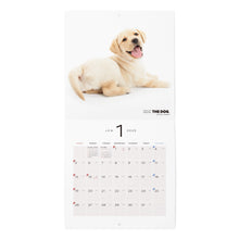 Read the image into the gallery view, THE DOG 2025 Calendar Mini Size (Labrador Retriever)
