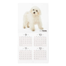 Lea la imagen en la vista de la galería, El mini tamaño de calendario del perro 2025 (maltés)
