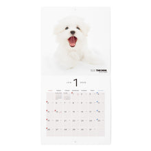 Lea la imagen en la vista de la galería, El mini tamaño de calendario del perro 2025 (maltés)
