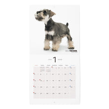 Read the image into the gallery view, THE DOG 2025 Calendar mini size (miniature Schnauzer)
