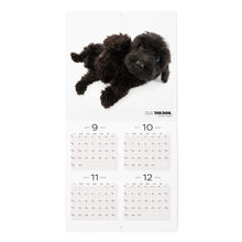 Read the image into the gallery view, The Dog 2025 Calendar Mini Size (Poodle)
