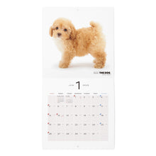 Read the image into the gallery view, The Dog 2025 Calendar Mini Size (Poodle)
