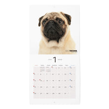 Lea la imagen en la vista de la galería, El perro calendario del perro 2025 Mini tamaño (pug)
