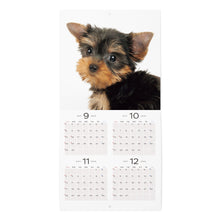 갤러리보기에 이미지를 읽고 The Dog 2025 Calendar Mini Size (Yorkshire Terrier)
