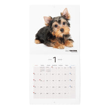 Lea la imagen en la vista de la galería, The Dog 2025 Calendar Mini Size (Yorkshire Terrier)
