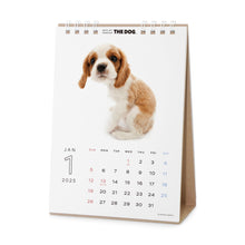 갤러리보기에 이미지를 읽고 개 2025 캘린더 데스크탑 크기 (Cavalier King Charles Spaniel)
