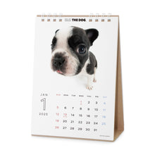 Read the image into the gallery view, THE DOG 2025 Calendar Desktop Size (French Bull Dog)
